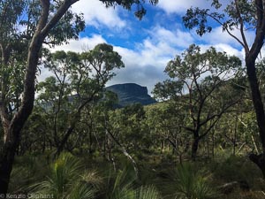 Dunkled: Walking the Grampians Gently